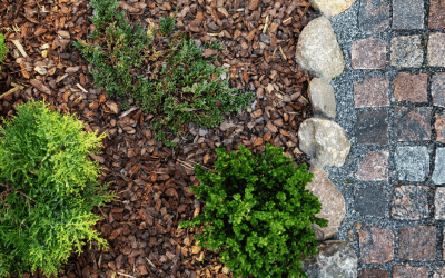 Benefits of Using Mulch in Your Landscaping: More Than Just Aesthetics