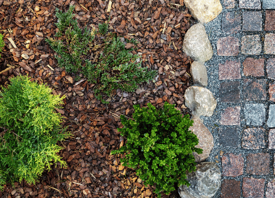 Benefits of Using Mulch in Your Landscaping: More Than Just Aesthetics