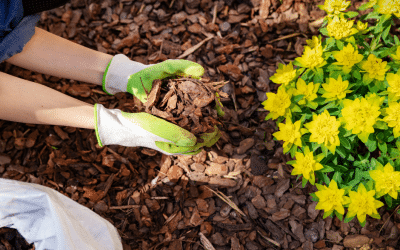 Transform Your Landscape: Why Atlanta Gravel’s Mulch Delivery Service is a Game Changer