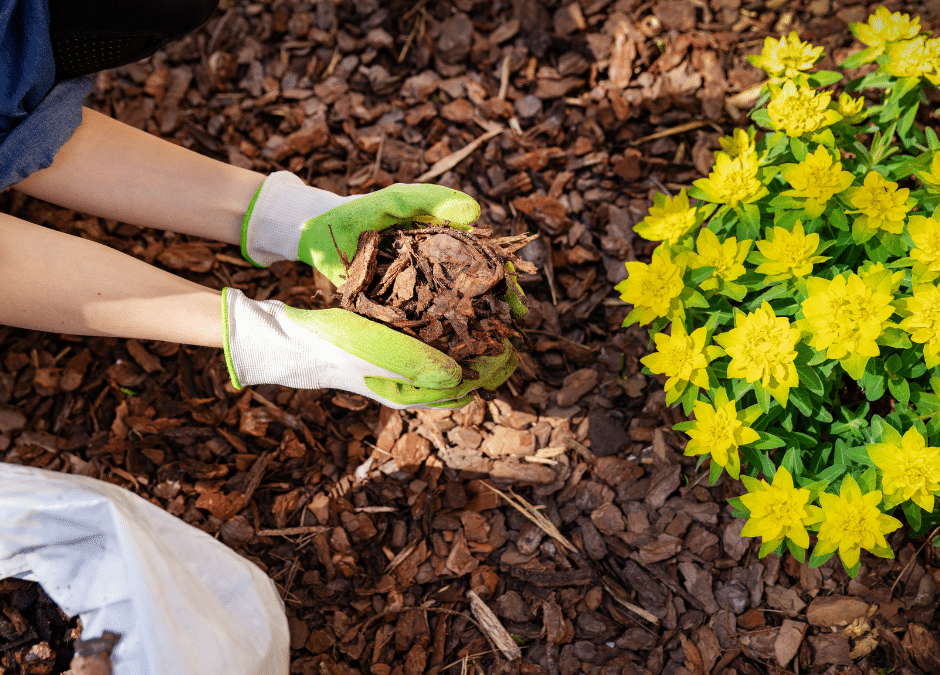 Transform Your Landscape: Why Atlanta Gravel’s Mulch Delivery Service is a Game Changer | Atlanta Gravel