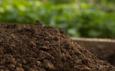 Top-Quality Dirt Delivery Services in Atlanta: Everything You Need to Know